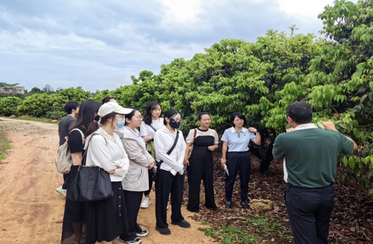 陵水县委组织部组织开展挂职干部交流观摩活...
